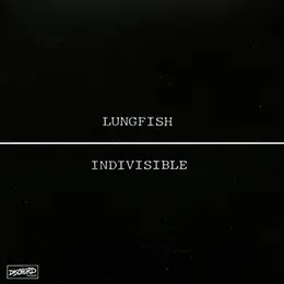 Indivisible von Lungfish – Album Cover