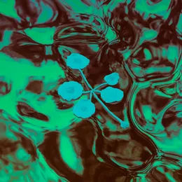 An Ever-Growing Meridional Entertainment Transgression at the Edge of the Multiverse von Icarus – Album Cover