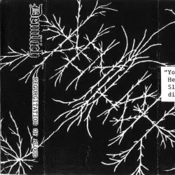Regurgitation of Blood von Demilich – Cover