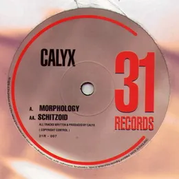 Morphology / Schitzoid von Calyx – Cover