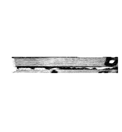 Cold Circuits von Cold Circuits – Cover