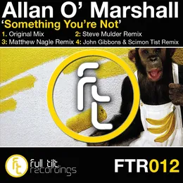 Something You're Not von Allan O'Marshall – Cover