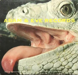 Untitled von Zekt – Cover