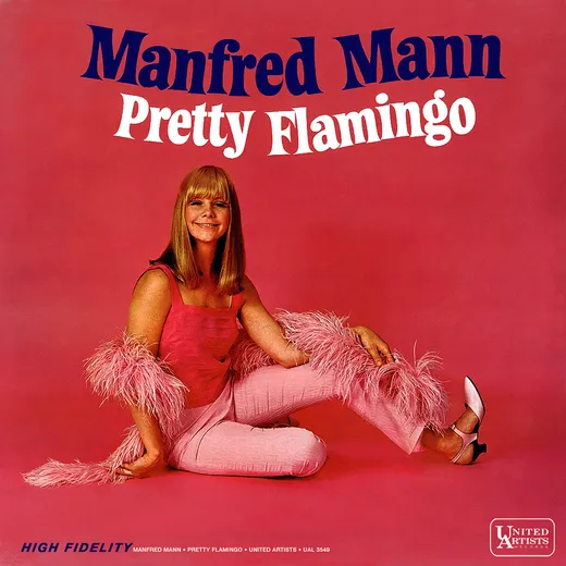 Pretty Flamingo