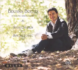 Folksong Arrangements von Steve Davislim – Album Cover