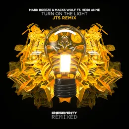 Turn on the Light (JTS remix) von Macks Wolf – Album Cover