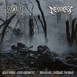 Pleromic Entrapment / Mustan Roihun Demot von Nekroverse – Album Cover