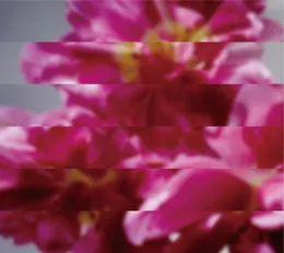何度でも新しく生まれる von MONDO GROSSO – Album Cover