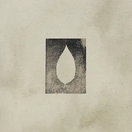 like it’s nothing von Flaws – Album Cover
