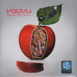 Povestea oricui von Voltaj – Album Cover
