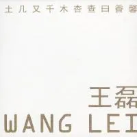 Xin von Wang Lei – Album Cover