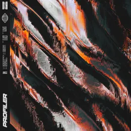 Profiler von Profiler – Cover