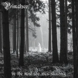 In the Mist She Was Standing von Primaluce – Cover