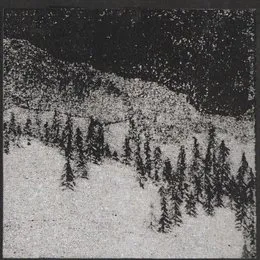 In the Heart of the Rainforest von Striborg – Album Cover