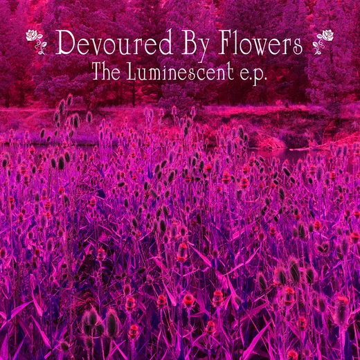 The Luminescent