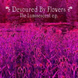 The Luminescent von Devoured by Flowers – Cover
