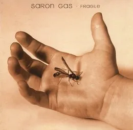 Fragile von Seether – Album Cover