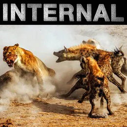 Primal State von Internal – Cover