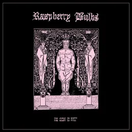 The World Is Empty, the Heart Is Full von Raspberry Bulbs – Album Cover