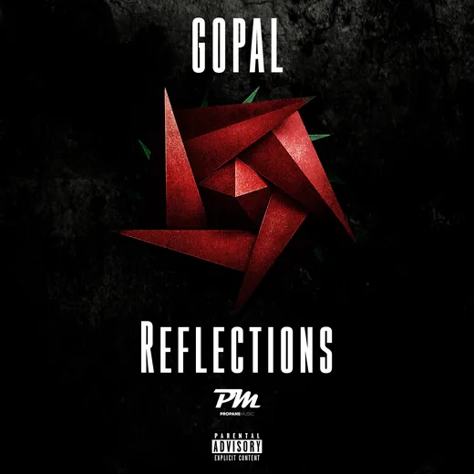 Reflections