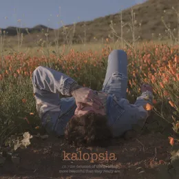 Kalopsia von Dylan Matthew – Cover