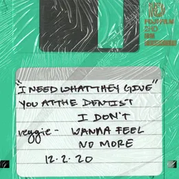I Don’t Wanna Feel No More von reggie – Cover
