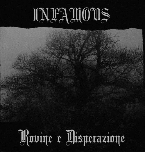 Rovine e disperazione