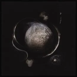Cold Black Suns von Enthroned – Album Cover