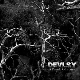 A Parade of States von Devlsy – Album Cover