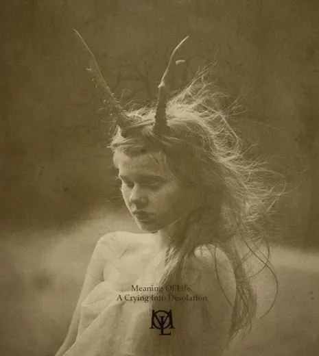 A Crying Into Desolation