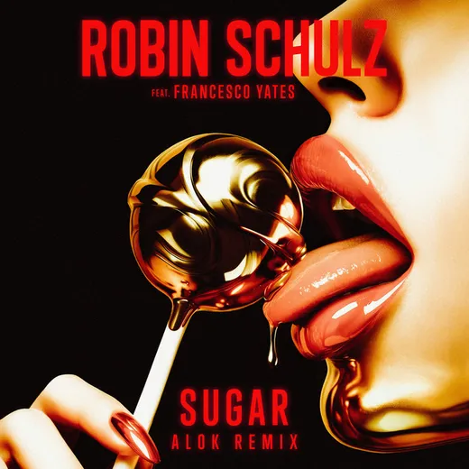 Sugar (ALOK remix)