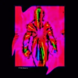 Is This Beauty? von FUKKIT – Album Cover