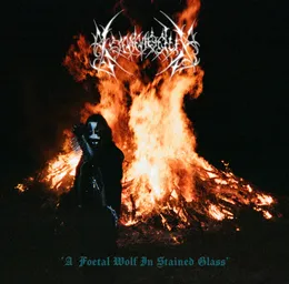 A Foetal Wolf in Stained Glass von Kommodus – Album Cover