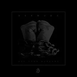 Use Your Burdens von Bermuda – Album Cover