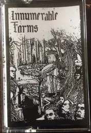 Promo 2016 von Innumerable Forms – Cover