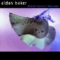 Black Flowers Blossom von Aidan Baker – Album Cover