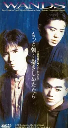 もっと強く抱きしめたなら von WANDS – Cover