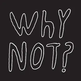 Why Not? von Half Japanese – Album Cover