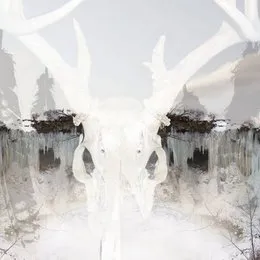 For Winter Fire von Seidr – Album Cover
