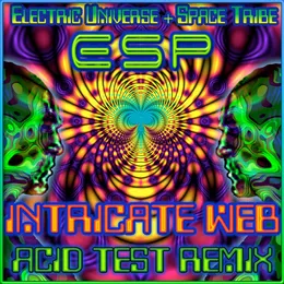 Intricate Web von ESP – Cover