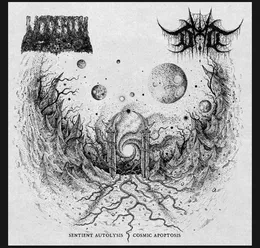 Sentient Autolysis / Cosmic Apoptosis von Devoid of Thought – Album Cover