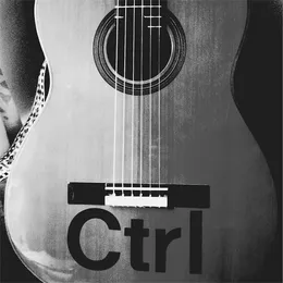 Ctrl (Acoustic) von Derek Webb – Cover