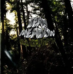 Old Growth von Dead Meadow – Album Cover