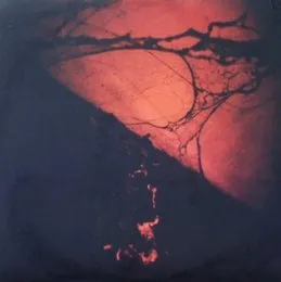 Wörm Dirges von Fleshpress – Album Cover