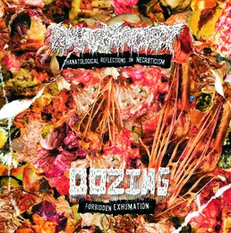Forbidden Exhumation / Thanatological Reflections on Necroticism von Oozing – Cover