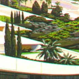 Roll Out von Tails – Album Cover