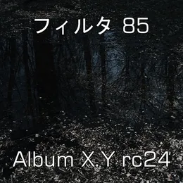 Album X.Y rc24 von フィルタ 85 – Cover