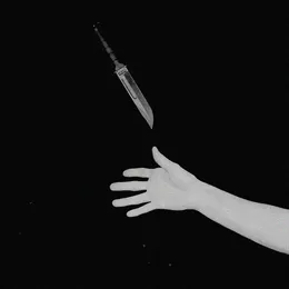 Bipolar von Festering Wounds – Cover