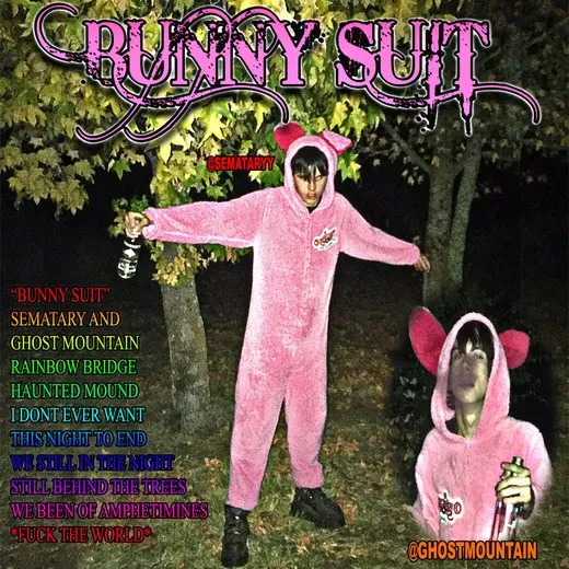Bunny Suit