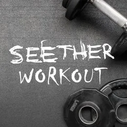 Workout von Seether – Album Cover